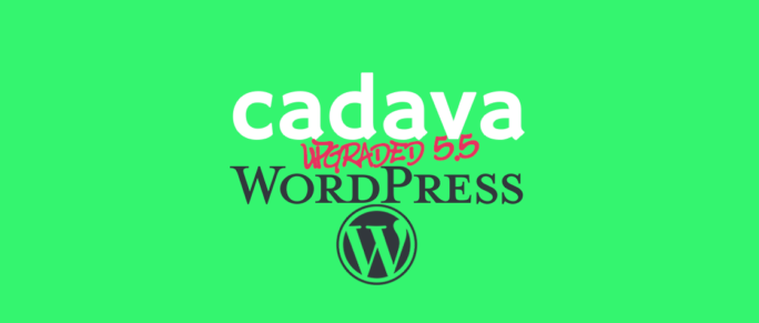 www.cadava.com:technonlogy.update, Cadava upgrades, Our WordPress servers to 5.5 Ekstine