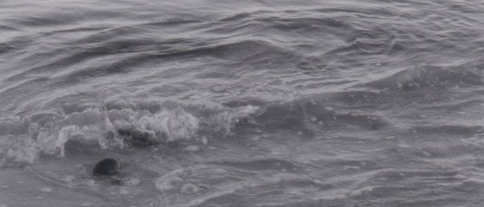 Author: Colin Humphrey, www.colinhumphrey.co.uk, photos, Conditional, Forms, Brighton, Study 1