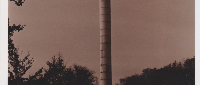 Author: Colin Humphrey, www.colinhumphrey.co.uk, photos, Cane Hill, Monochrome, Study 3