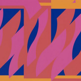 ColinHumphrey: www.colinhumphrey.co.uk, culture, exhibition, london, national gallery, paint, op-art, bridget riley, 2011