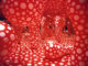 ColinHumphrey: www.colinhumphrey.co.uk, culture, exhibition, london, hayward gallery, paint, installation, yayoi kusama, walking in my mind, 2009