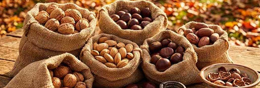 Nuts About Nuts: A Nutritious Deep Dive into Nature’s Most Ancient Superfood