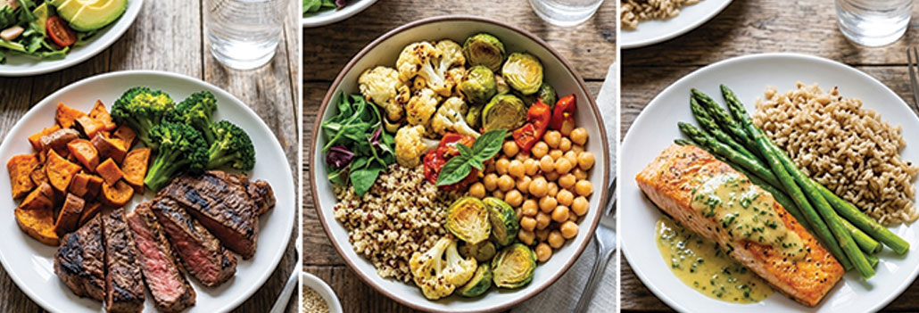 An Unvarnished Guide to Diets that Shaped our Bodies and our World